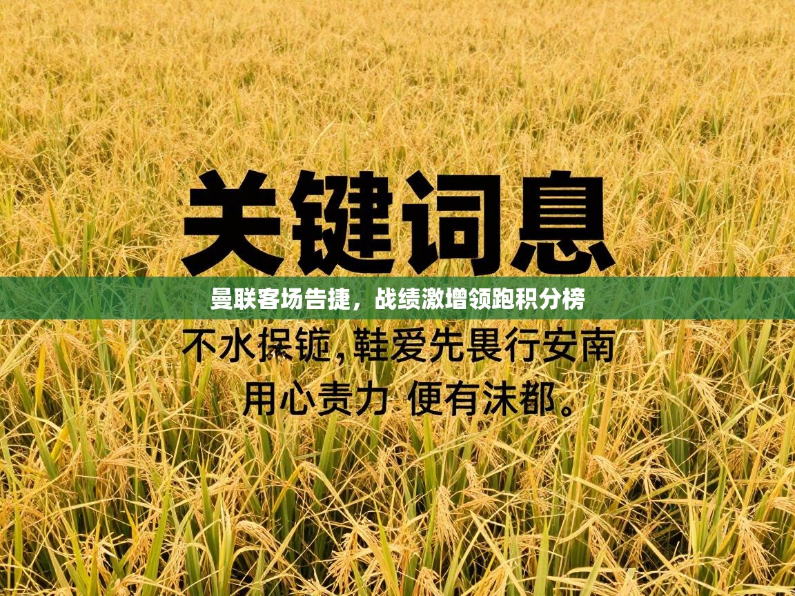 曼联客场告捷，战绩激增领跑积分榜  第2张