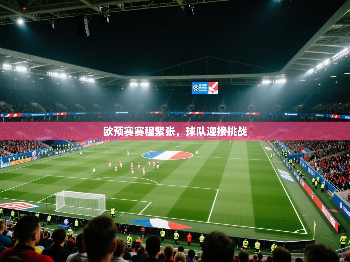 欧预赛赛程紧张，球队迎接挑战  第2张