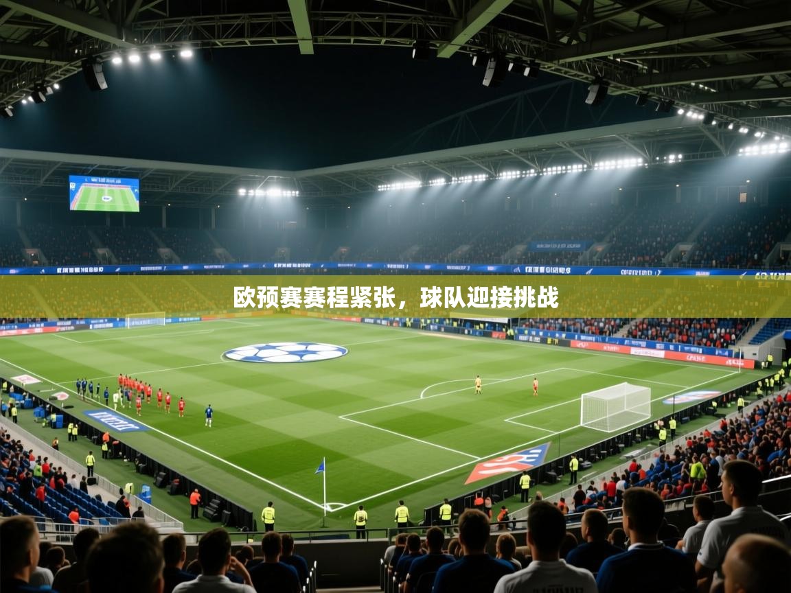 欧预赛赛程紧张，球队迎接挑战  第1张